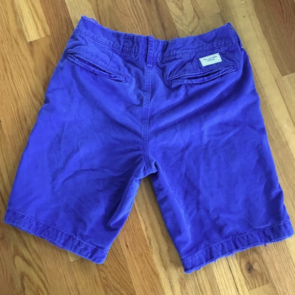 Abercrombie & Fitch Blue Shorts - Picture 2 of 8